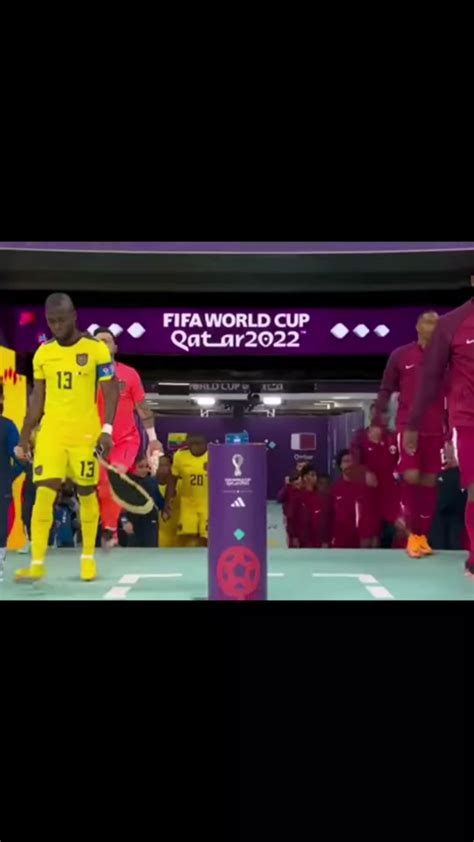 Qatar vs Ecuador .